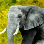 Kristi Richter - “King” – keddywumpus@yahoo.com