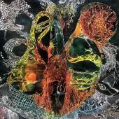 Stephi Joubert - “Corona Chaos” – https://www.stephijoubert.com/