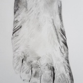 Morrie Warshawski - “Selfie: Right Foot” – http://www.warshawski.com/