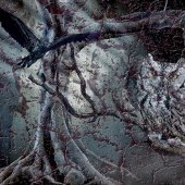 Anne Jeffery - “When the Owl Calls Your Name” – http://www.annejefferyphotography.com/