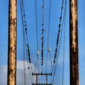 Stacey Harris - “This Space above my Head” – https://staceyharrisart.com/