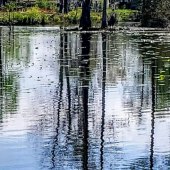 Audrey Kriss Berkowitz - “Reflections” – http://www.audreykrissphotography.com/