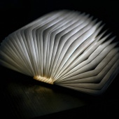 Jeremiah Gilbert - “Shelter-in-Place Still Life #1” – http://www.jeremiahgilbert.com/