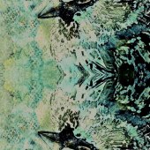 Tracey Lee Cassin - “Bird in a Mirror” – https://traceyleecassin.com/