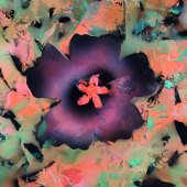 Tori Christgen - “Hibiscus Print” – https://www.torichristgen.com/