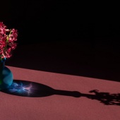 Hon. Mention - John Diephouse – “Still Life #6” – jdiephouse@gmail.com