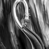 Hon. Mention - Cristina Gualmini - “Allegro ma non troppo” – www.naxtia.jimdofree.com