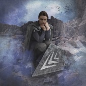 Denise McDermott – “After the Battle” - www.imagesbydenise.net