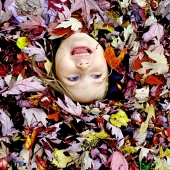 Bruno (1) Img #2  Fall!