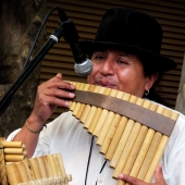 Schnepf (1) Img #2  The Musician