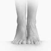 Spotti (1) Img #1 Feet