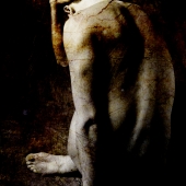 VERNET (1) Img #5  PUDOR