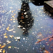 Volynsky (1) Img #3  Crossing the River