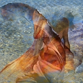 HM - Photography - Oakes (1) Img #3  Unrevealed