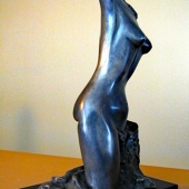 Zibit (1) Img #1 Daphne