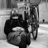 Schnepf (1) Img #3  The Urban Nap