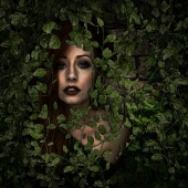 HM - Photo - Emerson (1) Img #1  Poison