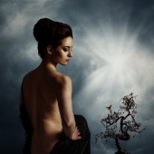 HM	Ann	Wehner	Transcedence