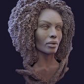 Prochazka (1) Img #2 Gabrielas Roots