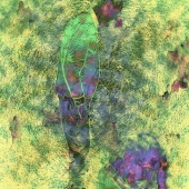 Berry-Lound (1) Img #2  Coping with Change