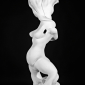 Burns (1) Img #2  Her Fauna Form