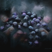 Harris (1) Img #5 With Hands Stretched Out