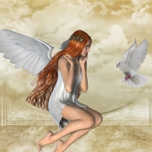 dp-23.-Kerry-White-–-“The-Angel-and-the-Dove”