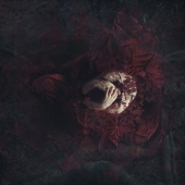 dp-31.-Rochelle-Marshall-–-“Inward”