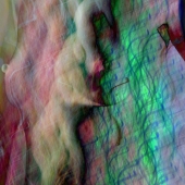 dp-8.-John-Pingree-–-“Exposure”