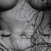 Ebonee Hansen – “Crone 1” – lovelyebonee@yahoo.com