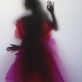 Paolo (Paul) Salcido – “Woman Trapped” – http://www.paolophoto.com/