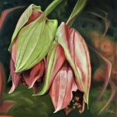 Gabrielle Bill – “Magnifica” - www.gabriellebill.co.uk