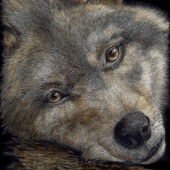 George Ann Johnson – “A Dog’s Day” - www.gajart.com