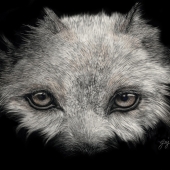 George Ann Johnson – “Soul Watcher” - www.gajart.com