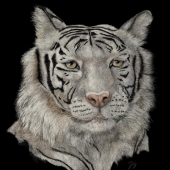 George Ann Johnson – “Gracious” - www.gajart.com