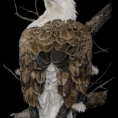 George Ann Johnson – “Overlooking” - www.gajart.com