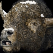 George Ann Johnson – “Cold Night” - www.gajart.com