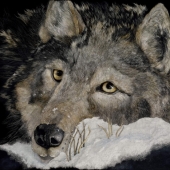 George Ann Johnson – “Searcher” - www.gajart.com