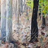 Heidi Dehncke – “NJ Woods” - https://heididehncke.wixsite.com/heididehnckefinear-1