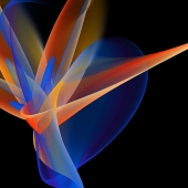 Jyl Blackwell – “Paradise” - https://jylart.square.site/