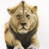 Keri Fisher - “Intent” - www.kerifisherart.com/