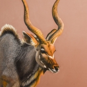 Keri Fisher - “Morning Light” - www.kerifisherart.com/