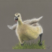 Keri Fisher - “Charge” - www.kerifisherart.com/