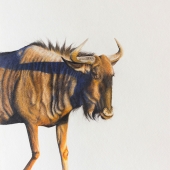 Keri Fisher - “Hoofing It” - www.kerifisherart.com/