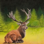 Keri Fisher - “Rest” - www.kerifisherart.com/