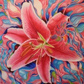 Kong Ho – “Lily Touching A Cosmic Disturbance” - www.kongho.com