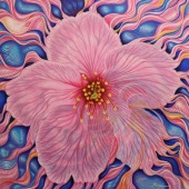 Kong Ho – “Floating Sakura Time” - www.kongho.com