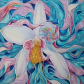 Kong Ho – “The World Before Eyes” - www.kongho.com