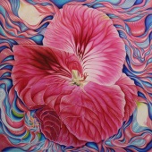 Kong Ho – “Dissolution and Intimate Focus” - www.kongho.com