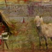 Kristinn Örn – “Trading Place” - www.iceon.art